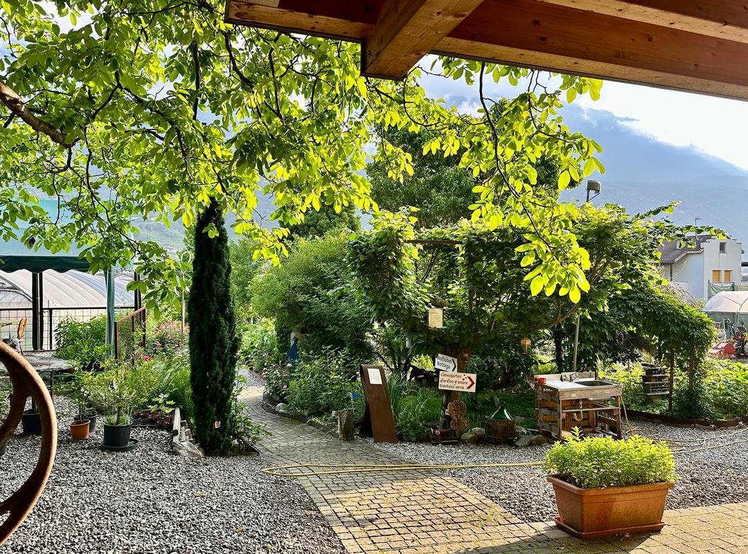 Kräuter Schlösse Vinschgau