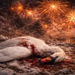 Böllerverbot in Deutschland