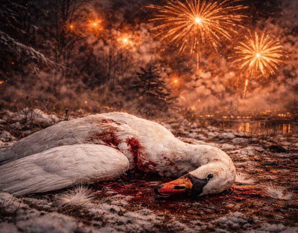 Böllerverbot in Deutschland